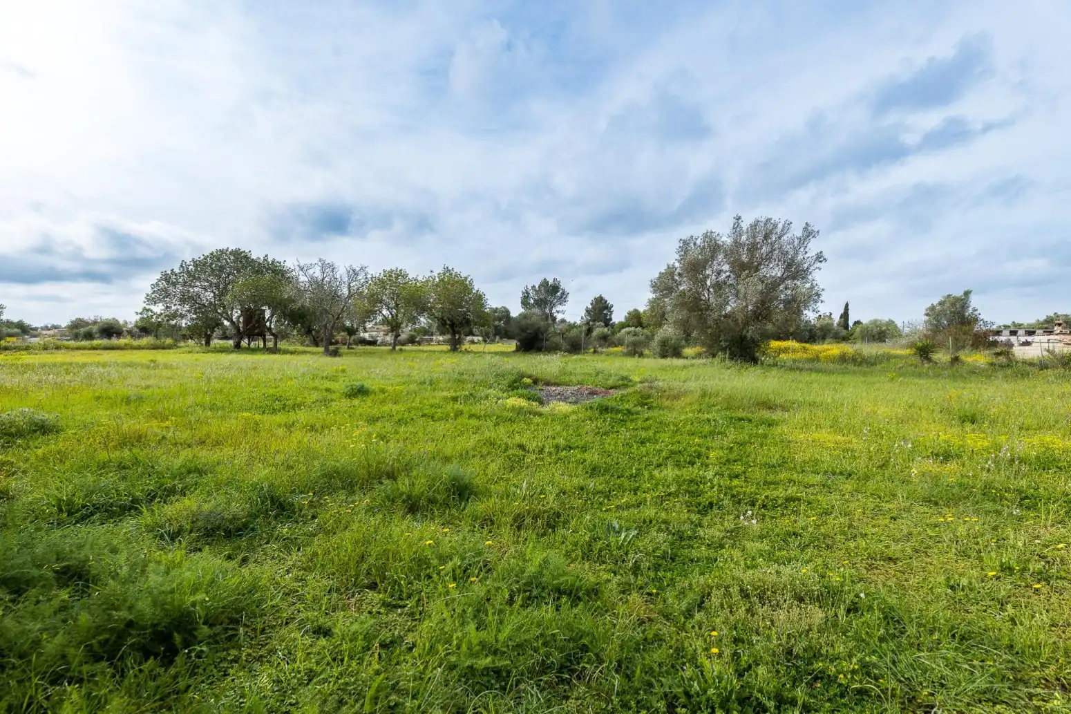 Casa o chalet en venta en Llucmajor con Parquet, Terraza y Trastero