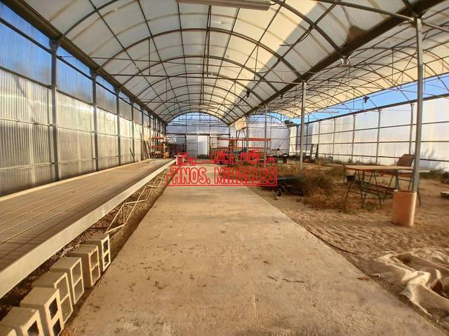 Terreno residencial en Venta en Pedanías Este