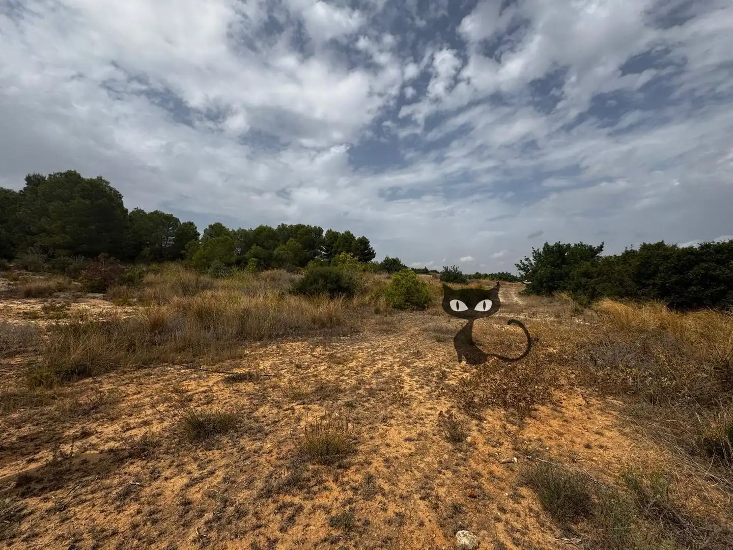 Rural land for sale in Calicanto - Cumbres de Calicanto - Santo Domingo, imagen 8