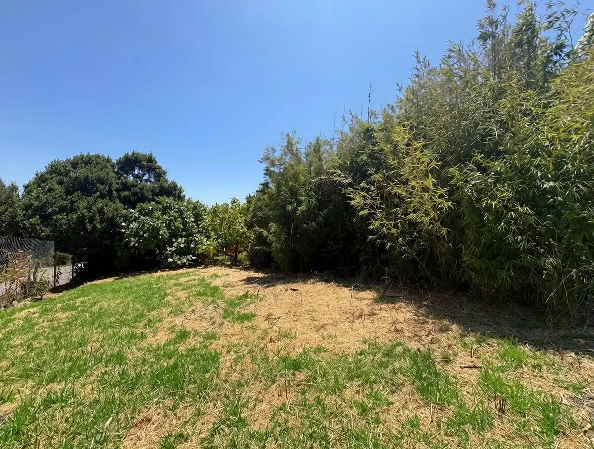 Casa o xalet en venda en Tarifa amb Jardí privat i Terrassa