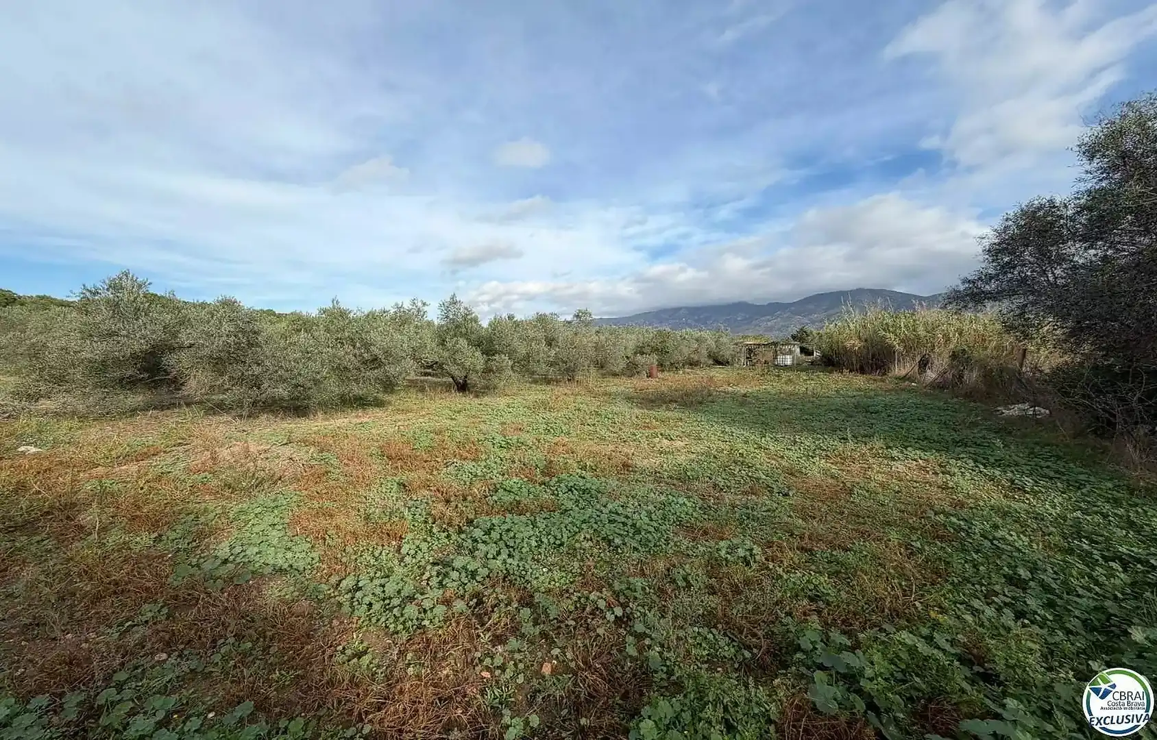 Residential land for sale in TORRE DEL VIENTO, imagen 15