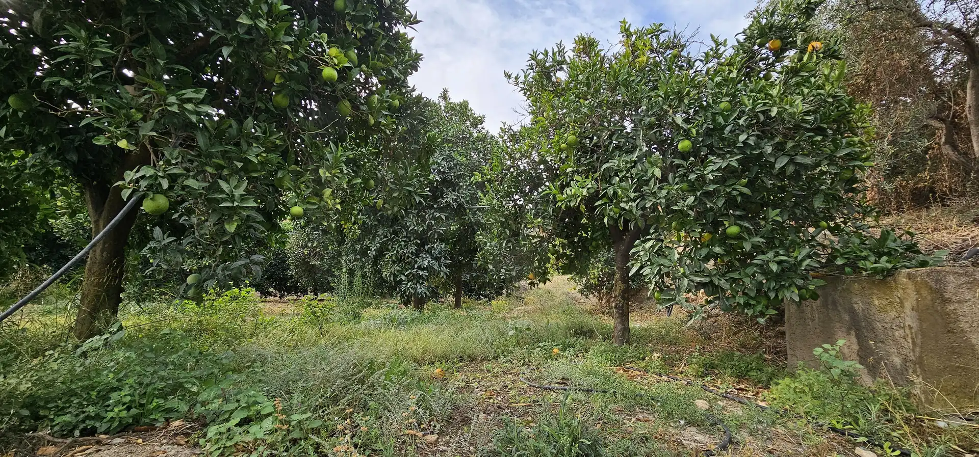 Residencial en venda en Íllar