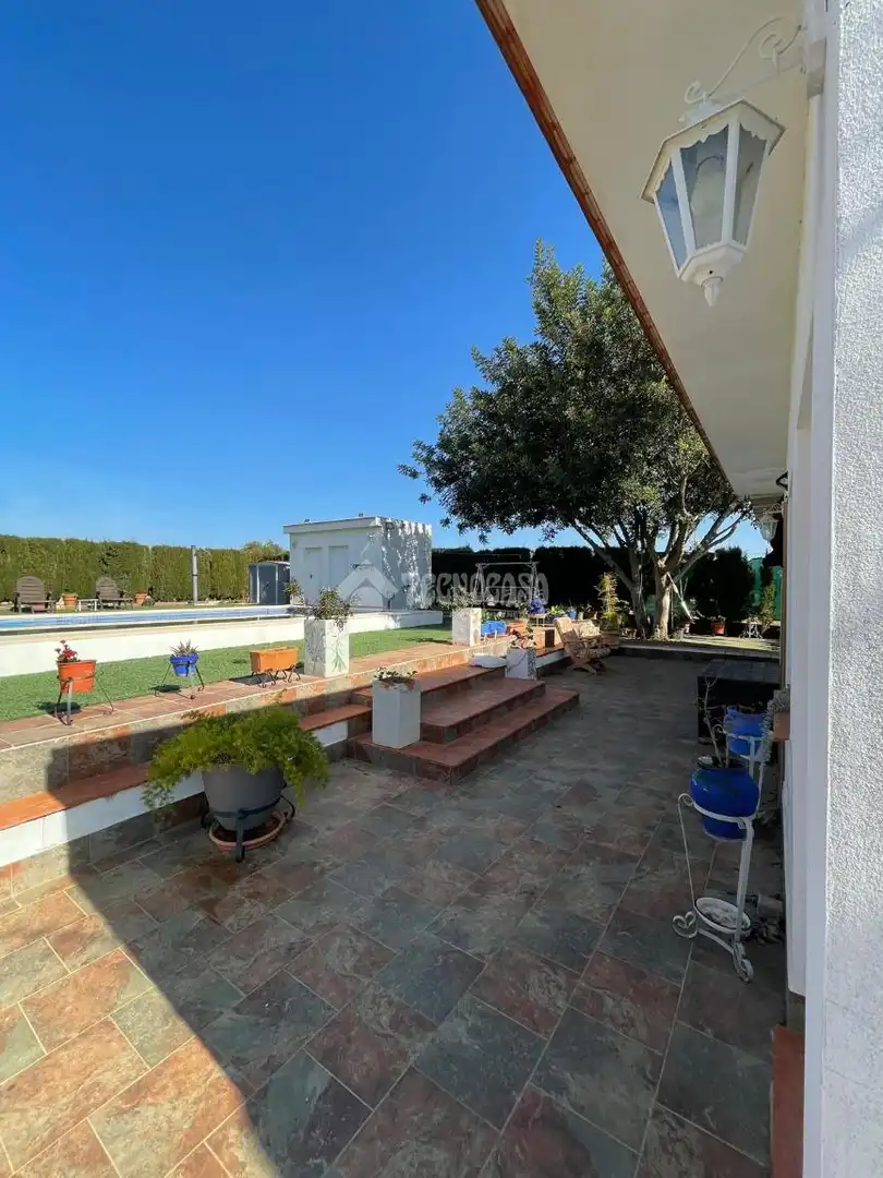 Jardí de Finca rústica en venda en Carmona