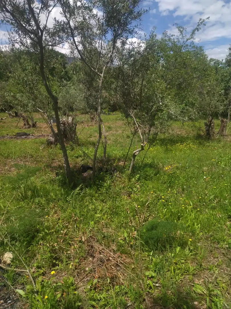Terreni e lotti in vendita a Villanueva de la Vera, imagen 9