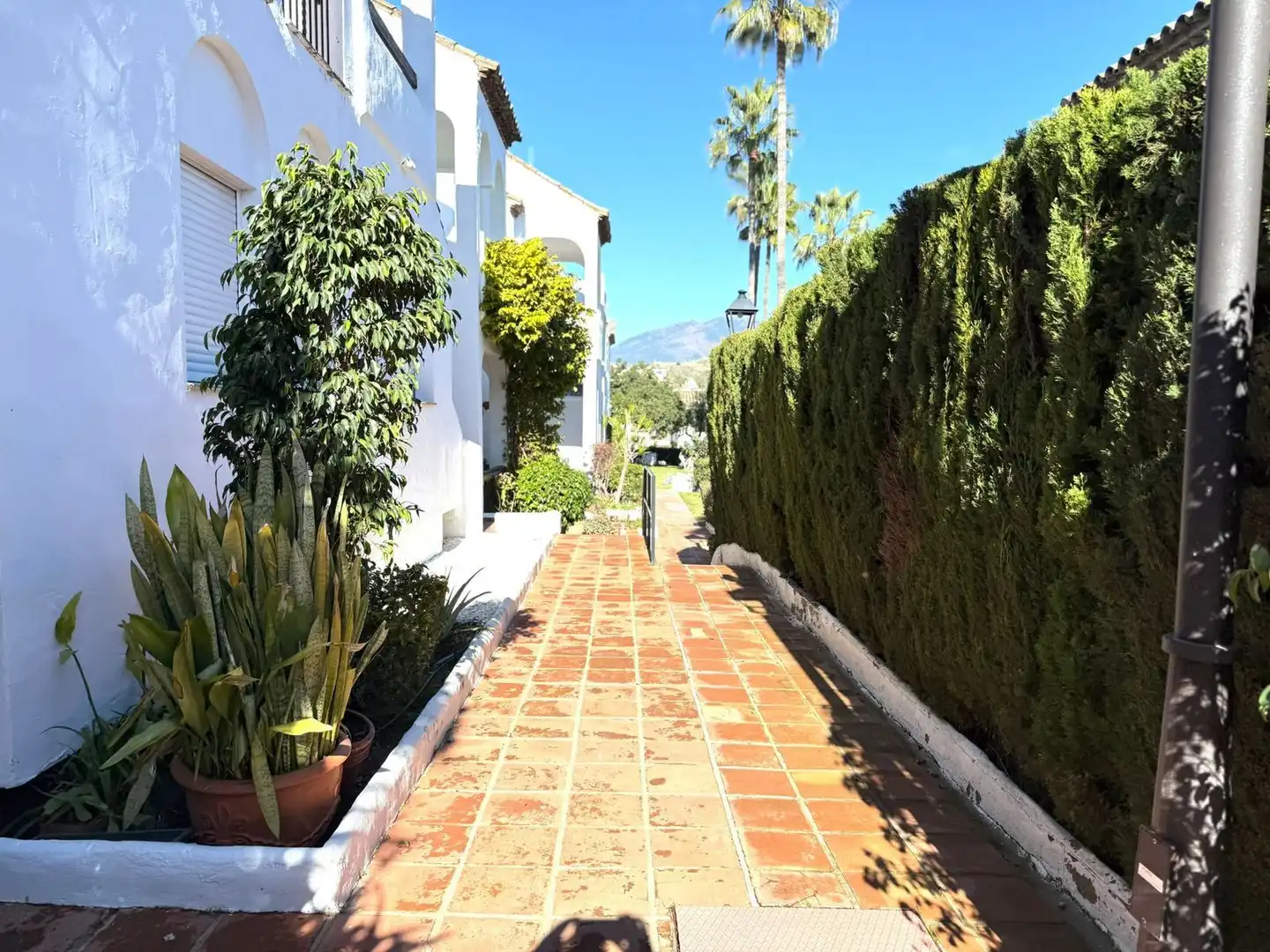 Reihenhaus mit Garten zum Verkauf in Calle Espliego, imagen 12