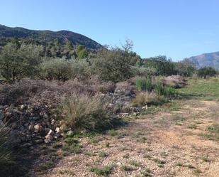 Grundstücke zum verkauf in Alcalalí