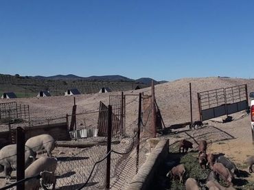 Terreno residencial en venta en Belmez