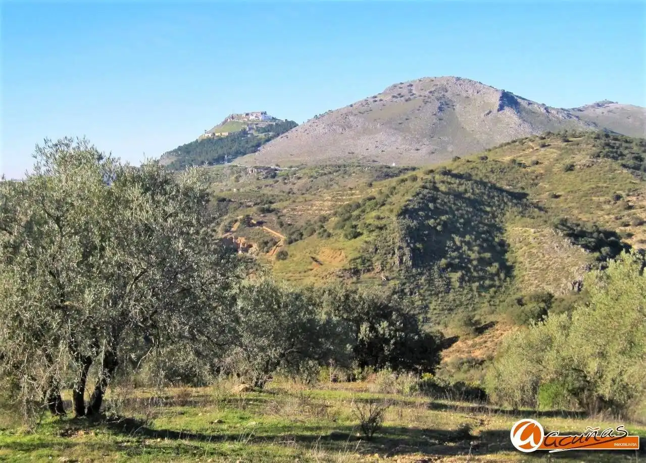 Terreny rústic en venda a Archidona