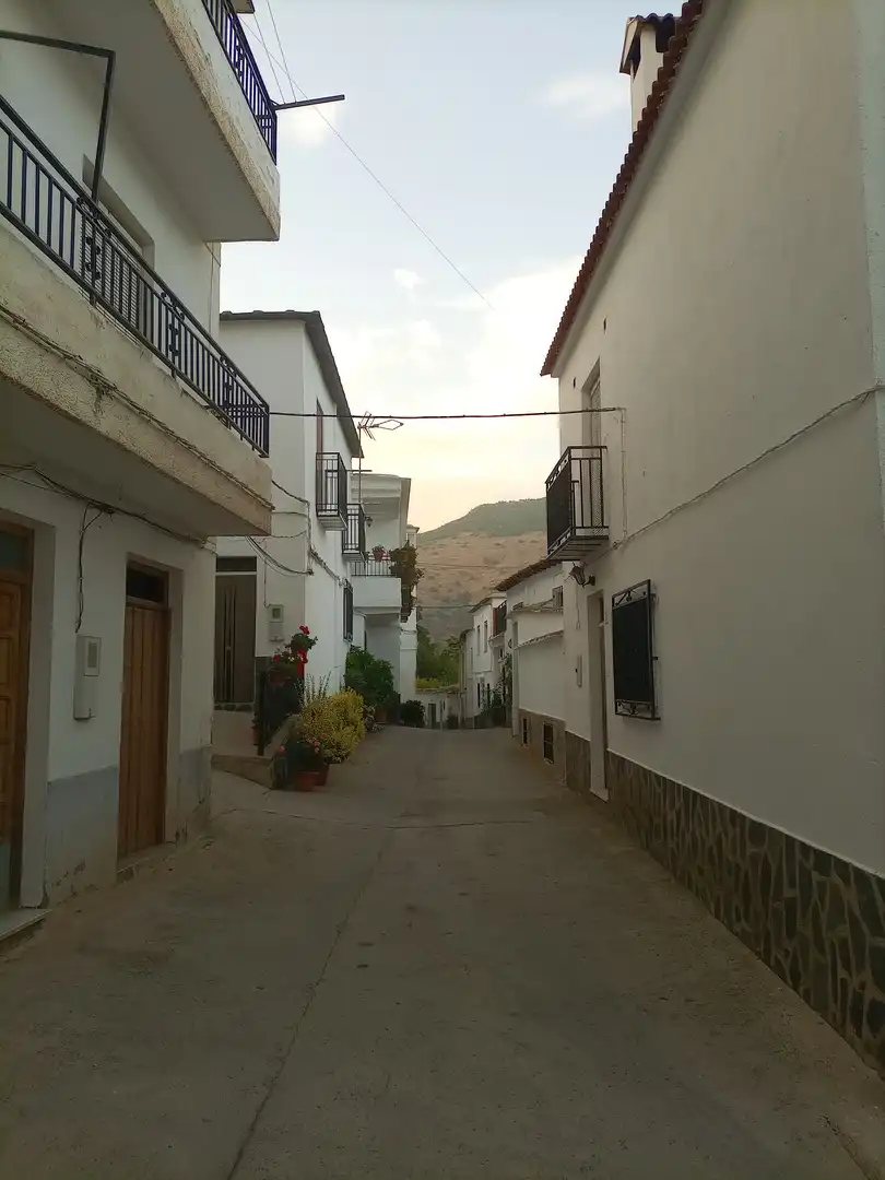 Vista exterior de Casa o xalet en venda en Bérchules amb Terrassa, Moblat i Balcó