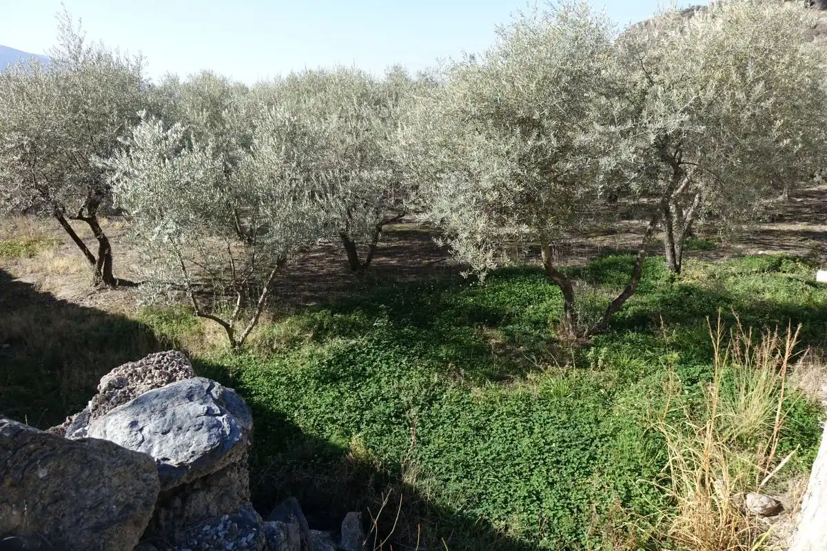 Rural land for sale in Órgiva, imagen 10