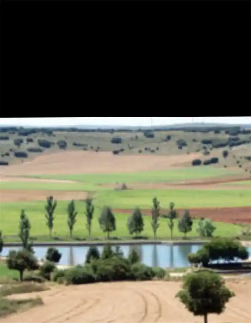 Planta baja en venta en Merindad de Río Ubierna