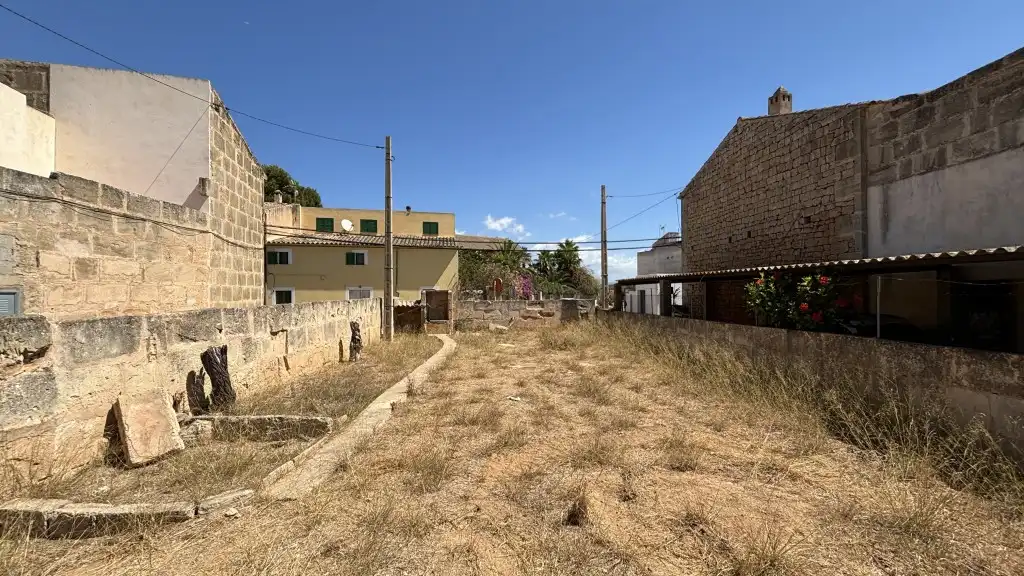 Terreny rústic en venda a Ses Salines Poble, imagen 3