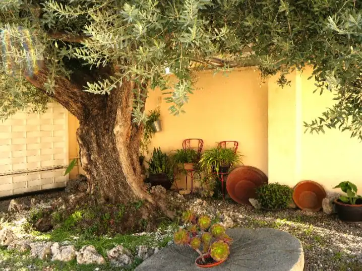 Villa mit Pool zum Verkauf in Carrer de Miguel Hernandez (Escritor) 2, imagen 41