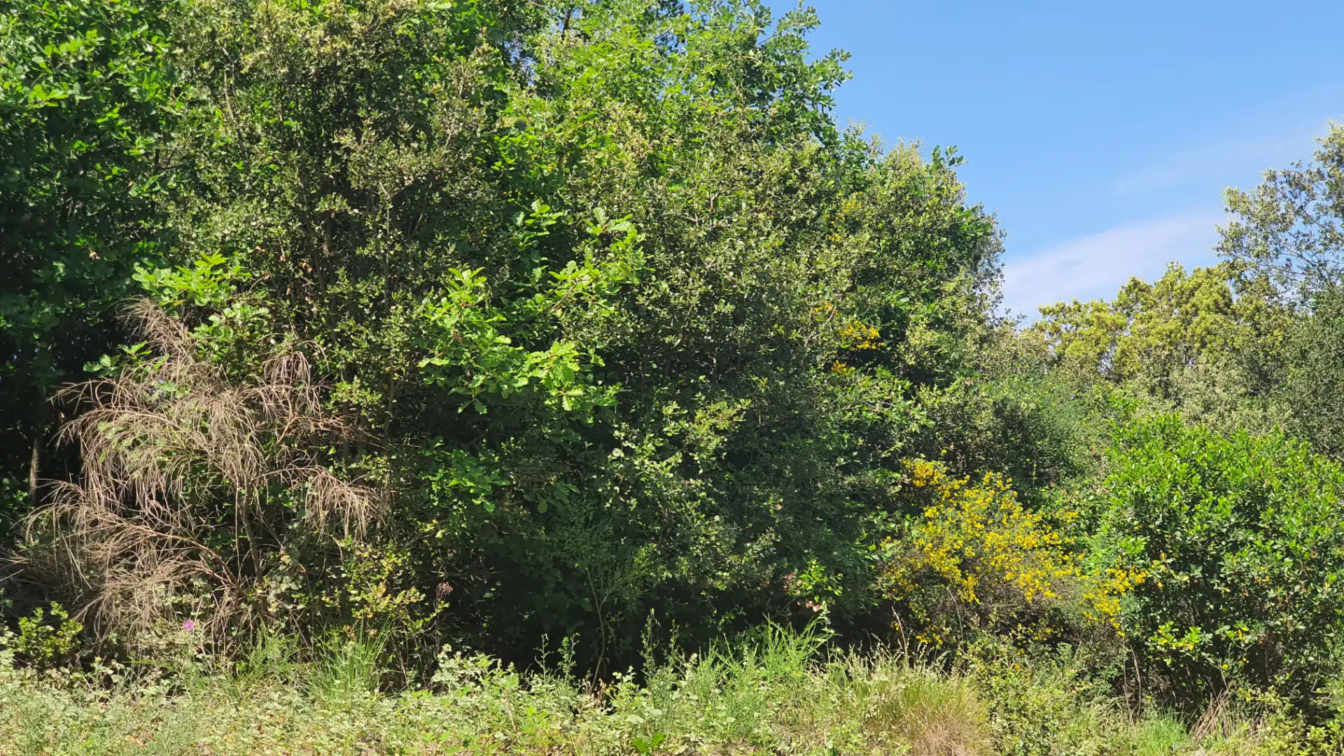 Terreno residencial en venta en Carrer Fredolic 118, imagen 16