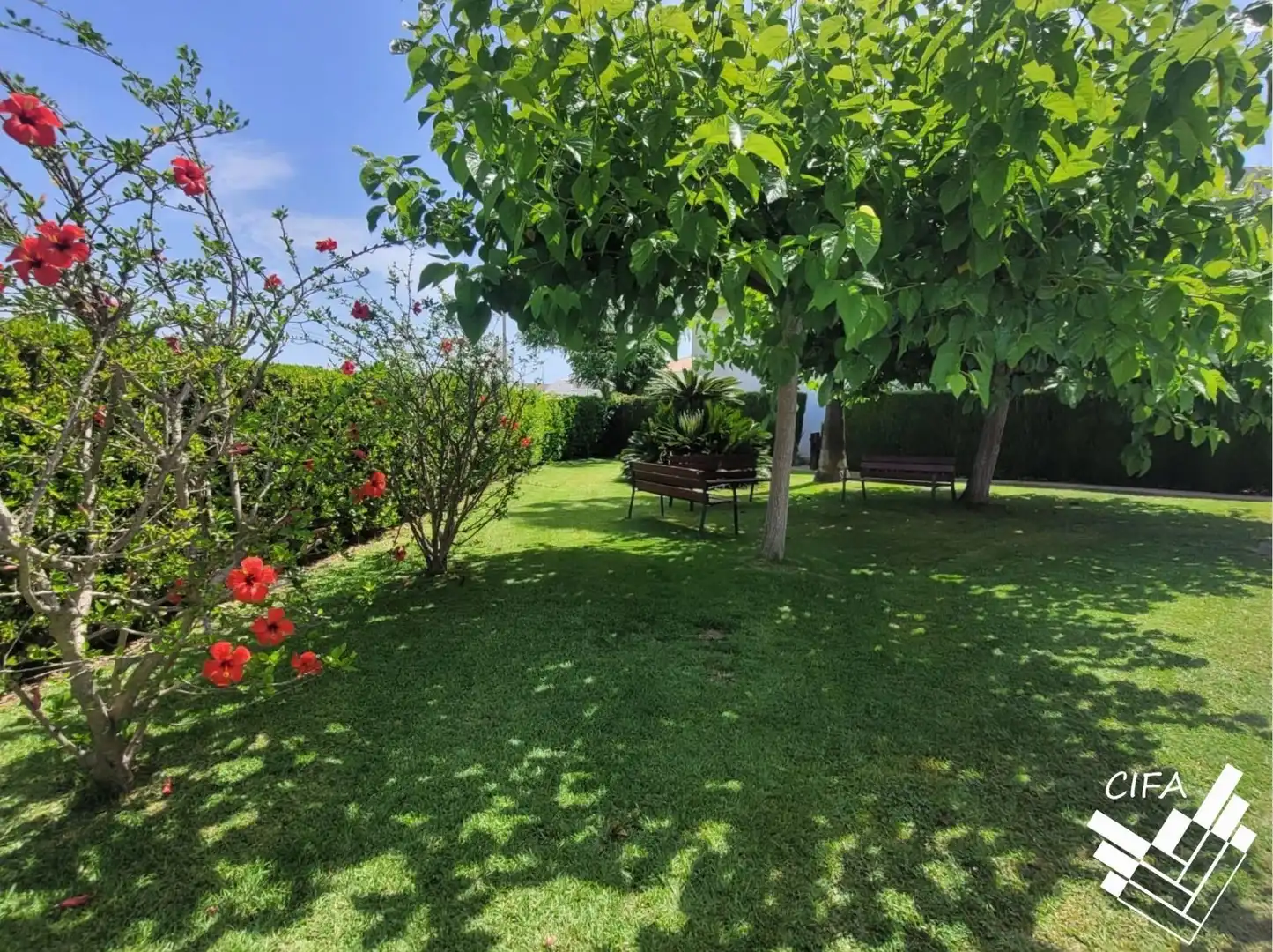 Jardí de Apartament en venda en Vinaròs amb Jardí privat, Terrassa i Moblat