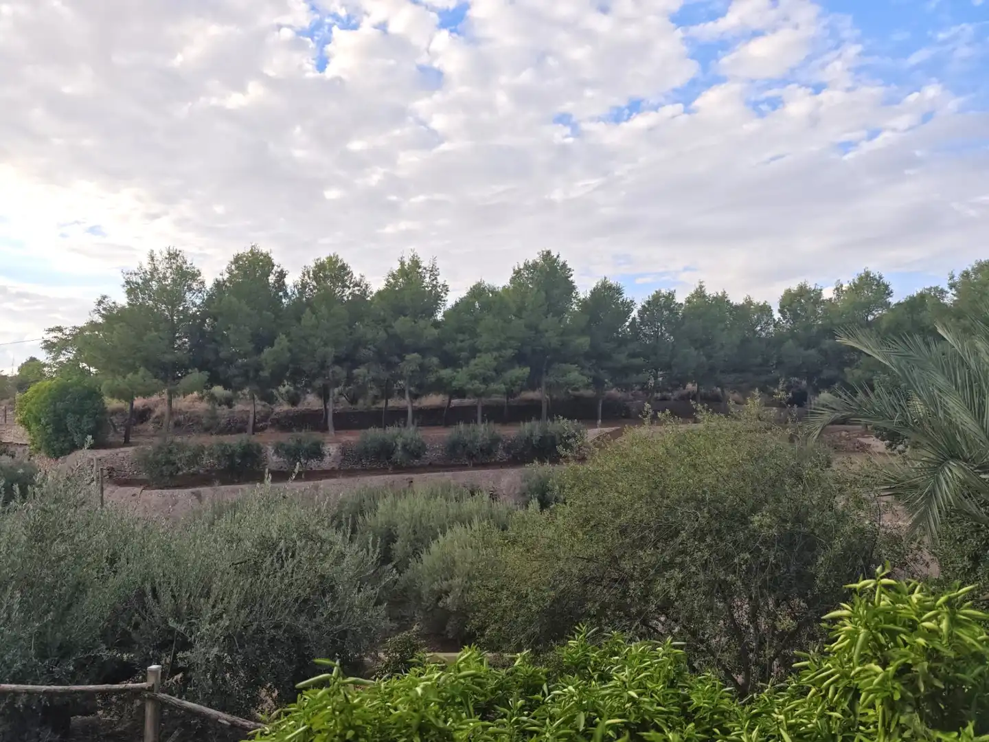 Villa avec piscine à vendre à Totana, imagen 54