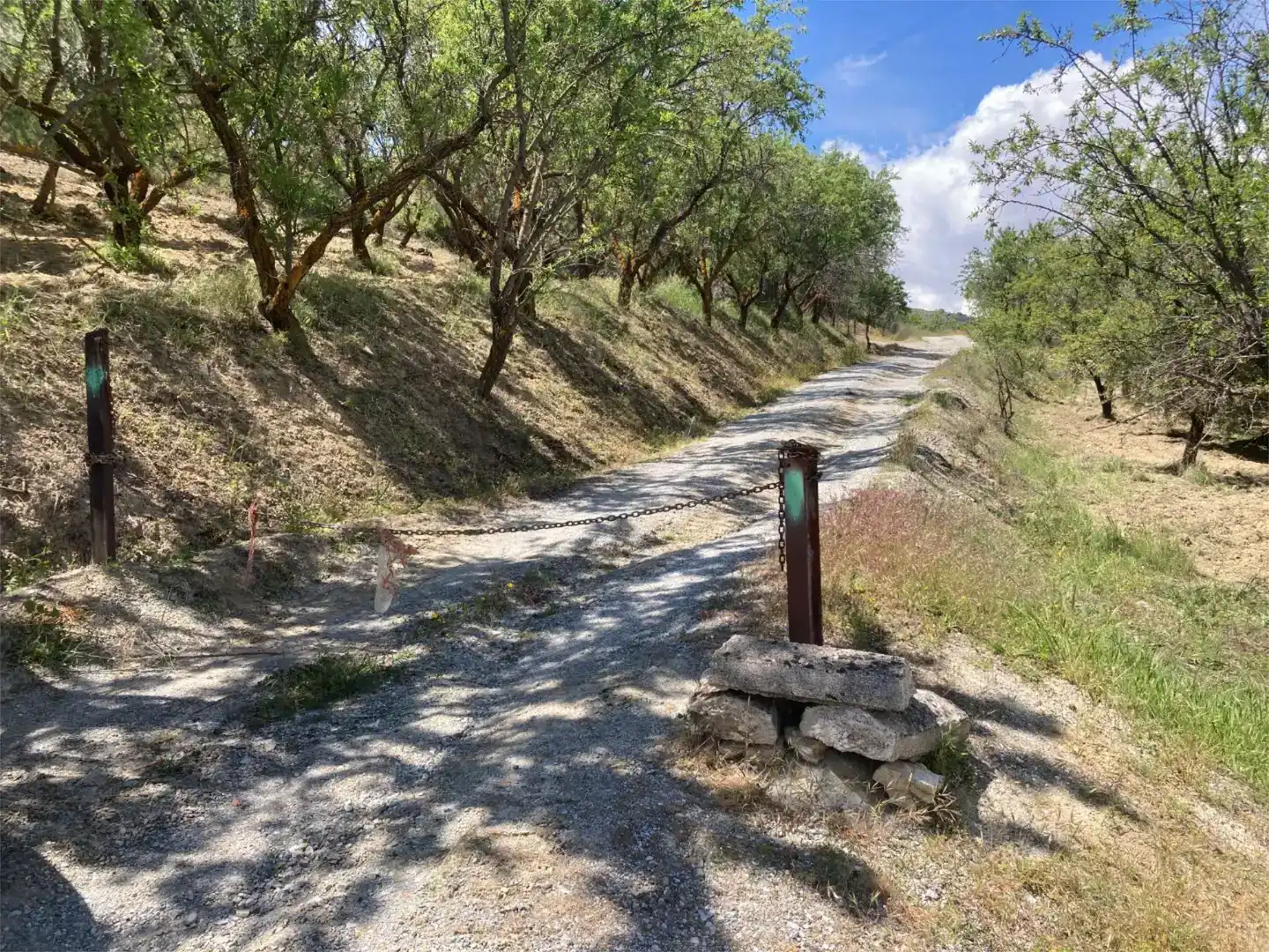 Vista exterior de Finca rústica en venda en Güéjar Sierra