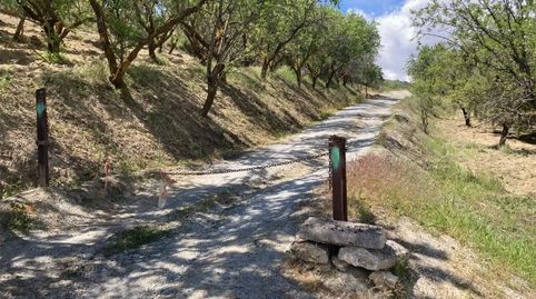 Foto 4 de Finca rústica en venda a Calle Canales, 9, Güéjar Sierra, Granada