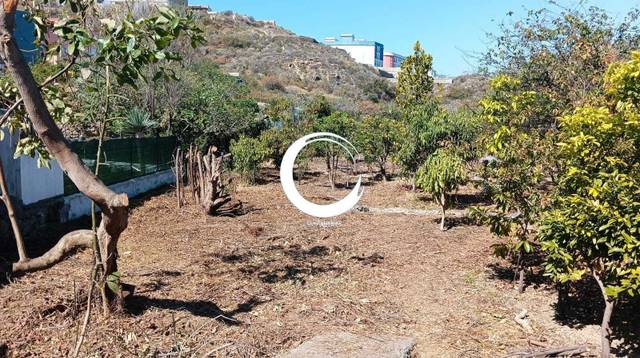 Terreno en Venta en Camino la Cueva del Rey en San Felipe - San Marcos - Las Cañas