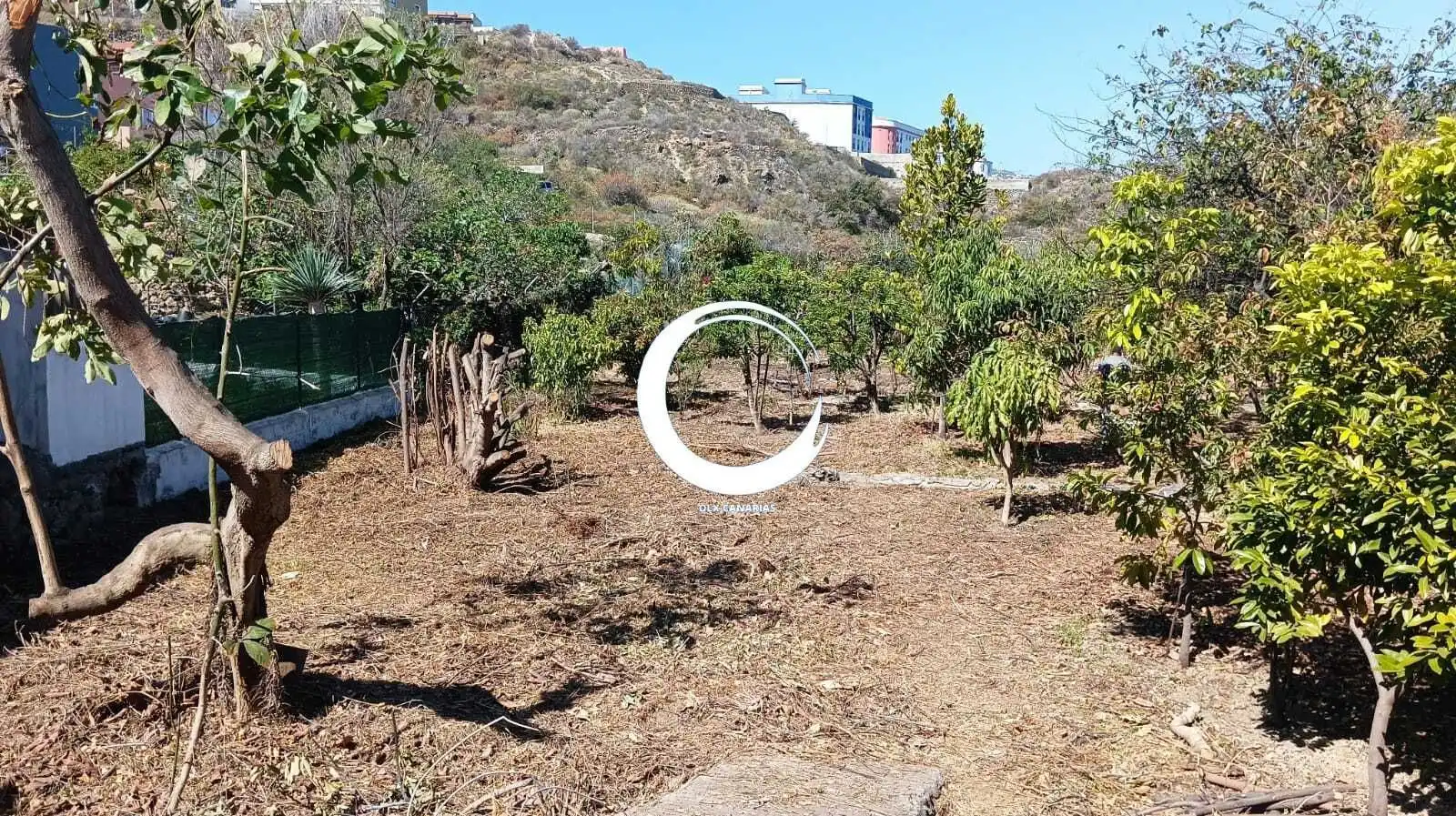 Rural land for sale in Camino la Cueva del Rey