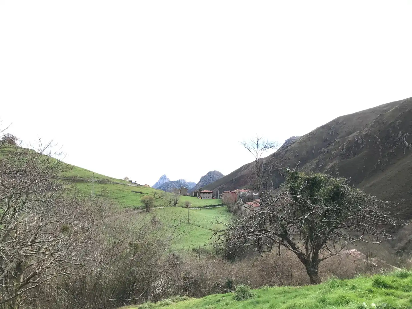 Lands and plots for sale in El Pontón, Rozagas, imagen 11