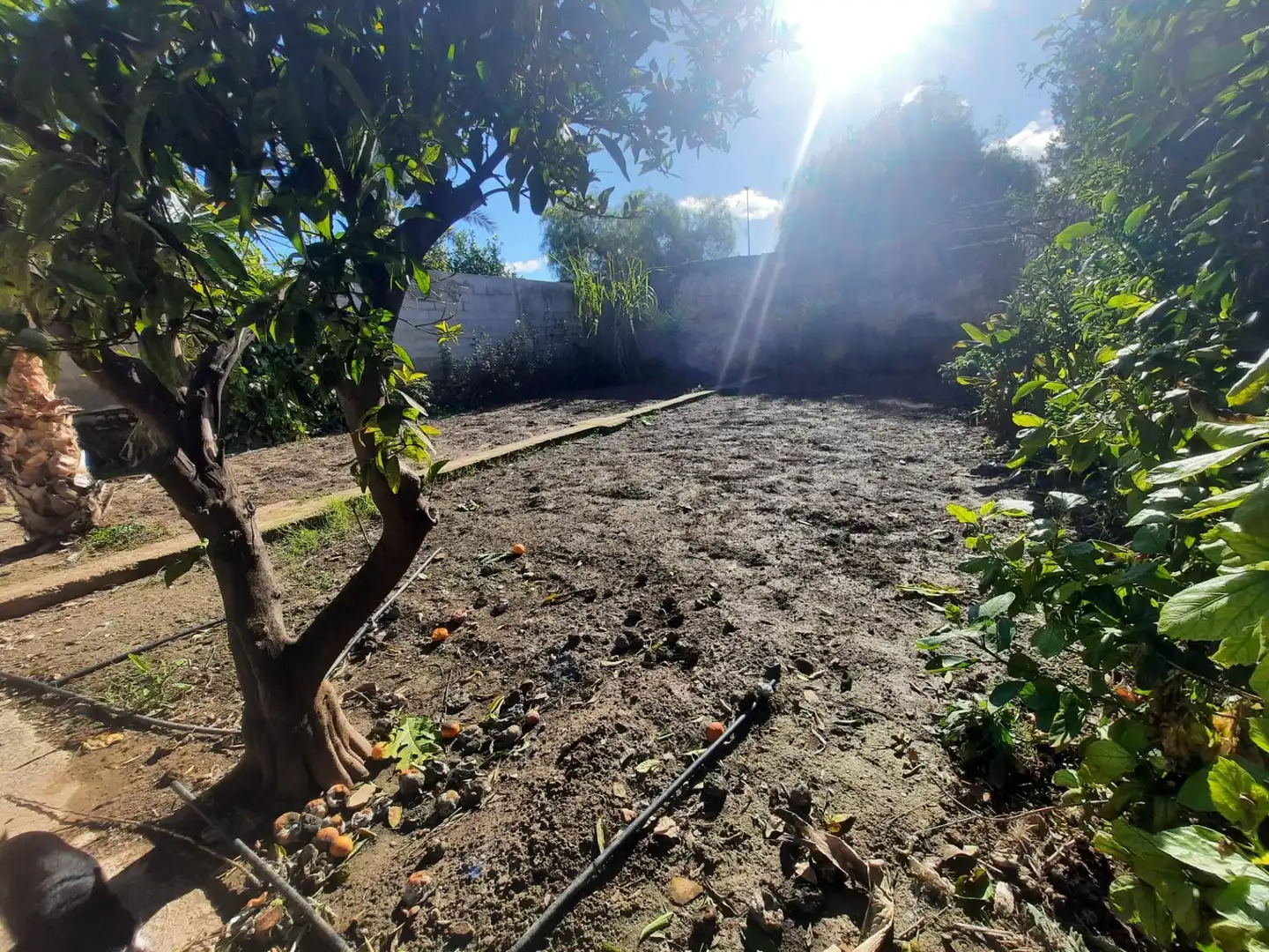 Casa o xalet en venda en Alcàntera de Xúquer amb Jardí privat i Terrassa