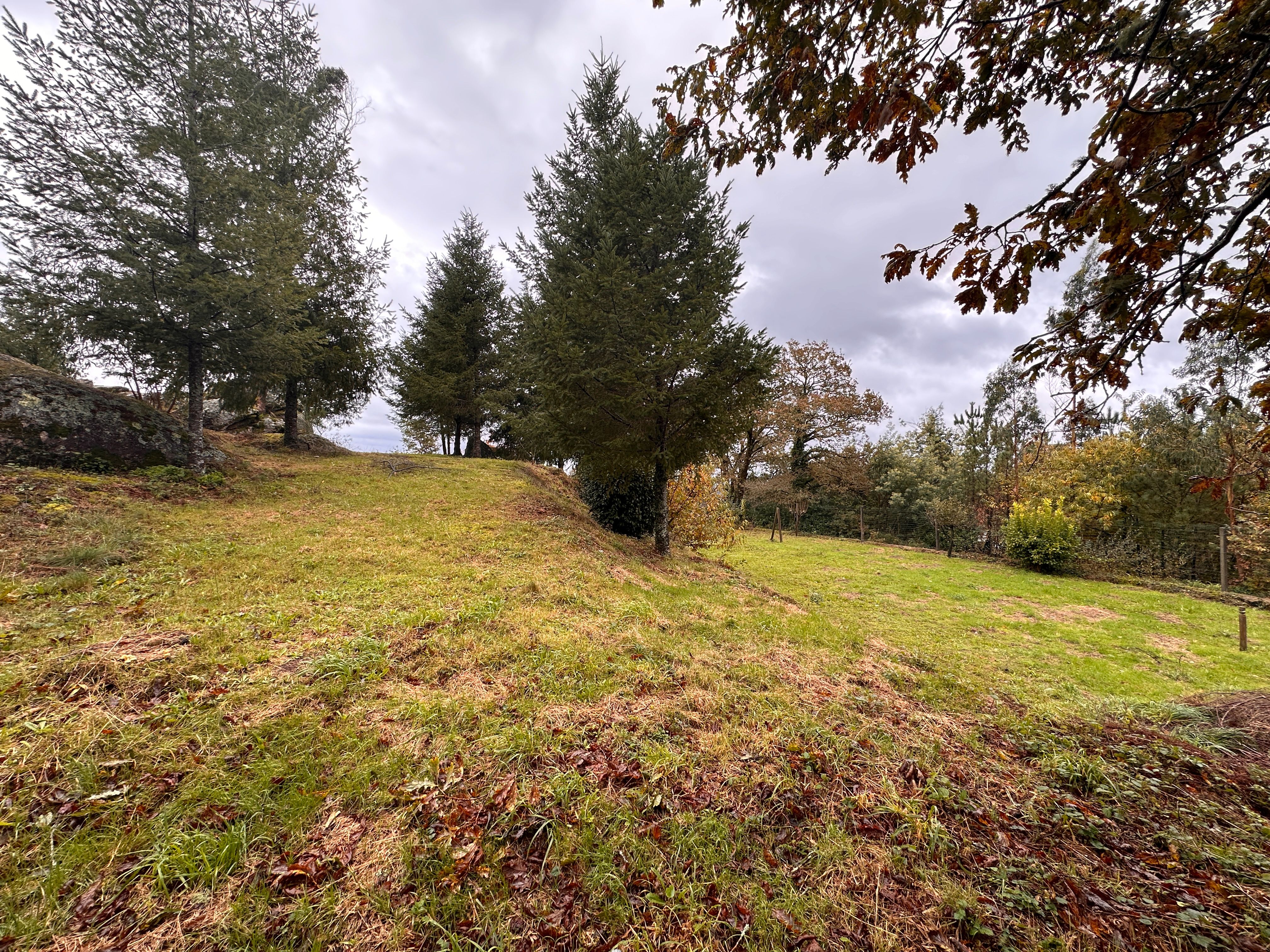 Residential for sale in Negreira