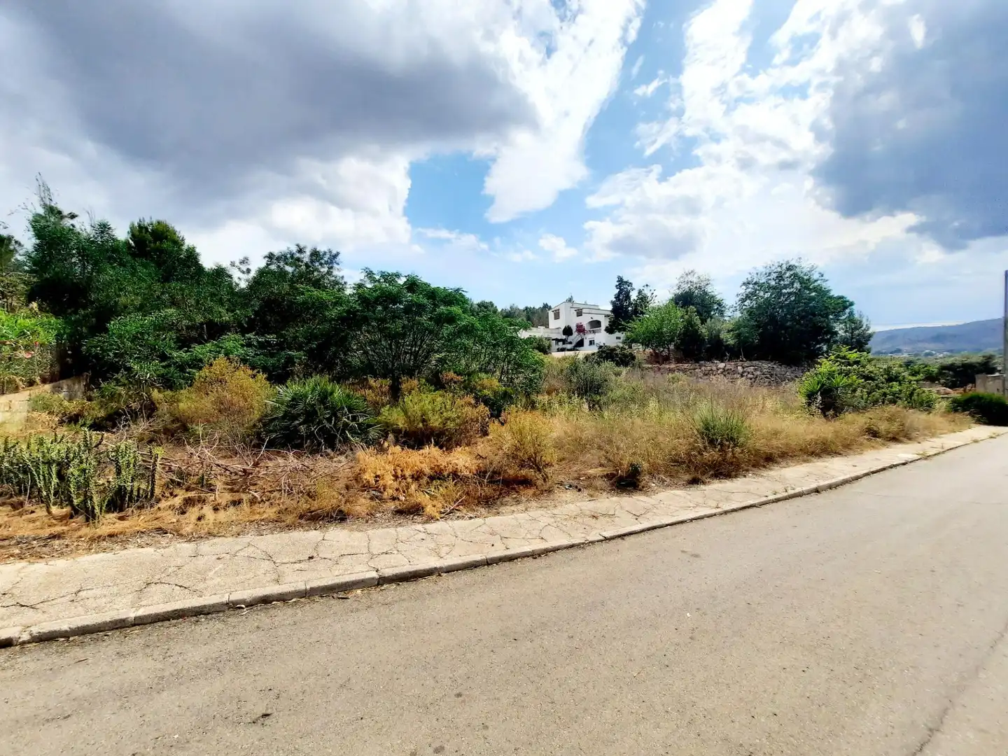 Terreny residencial en venda a Alberic, imagen 5
