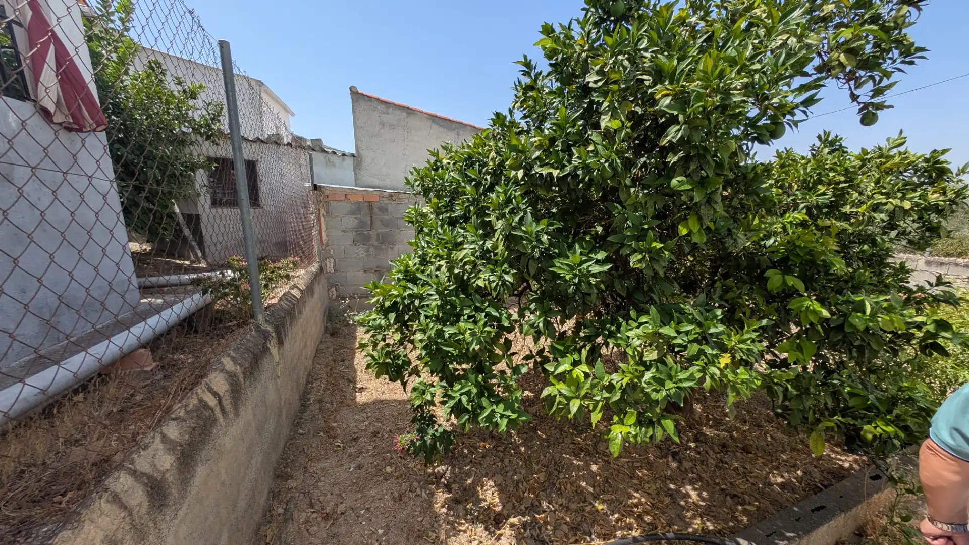Detached house with garden for sale in Alcaudete, imagen 14