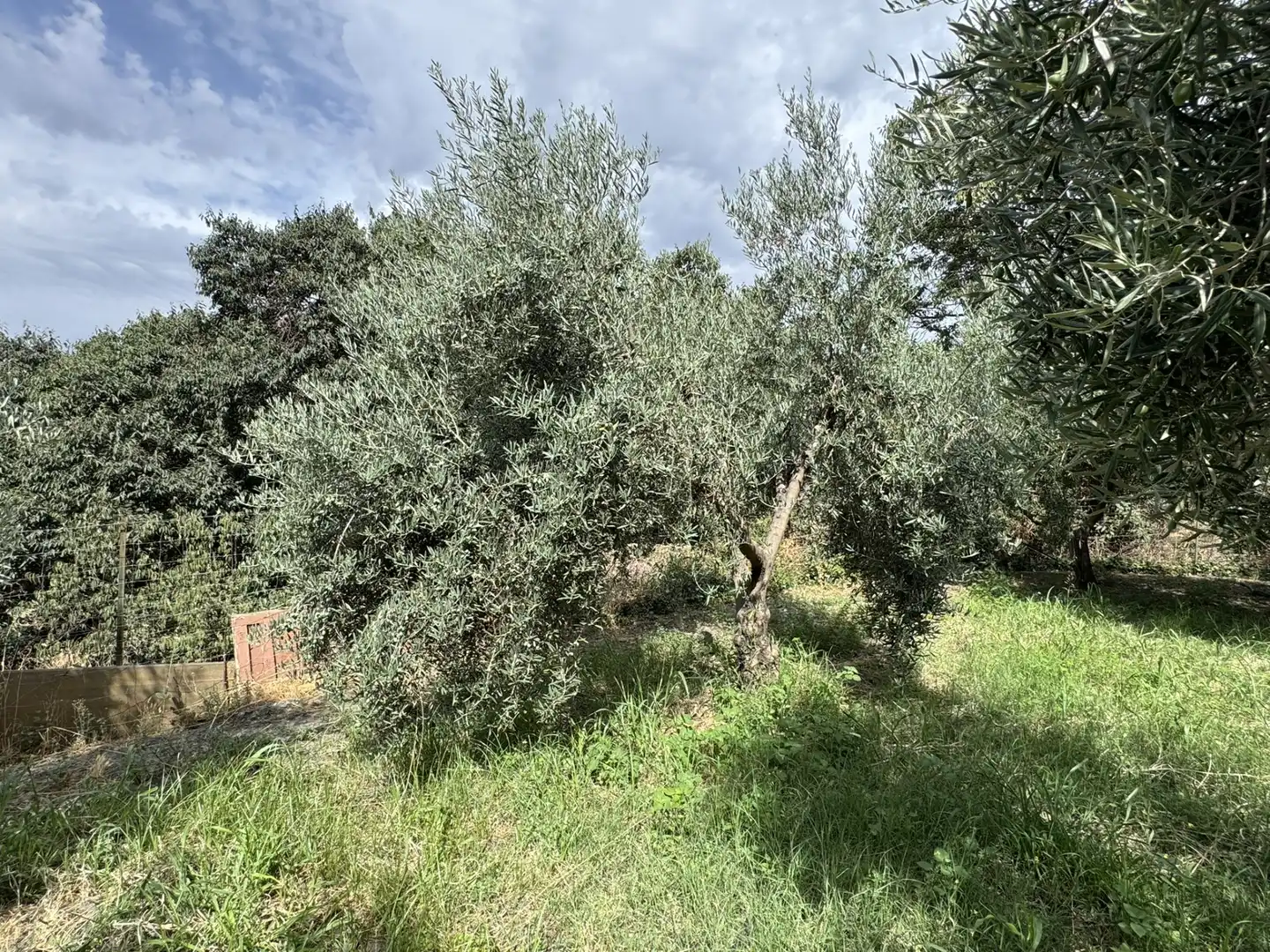 Terreny en venda en Ohanes