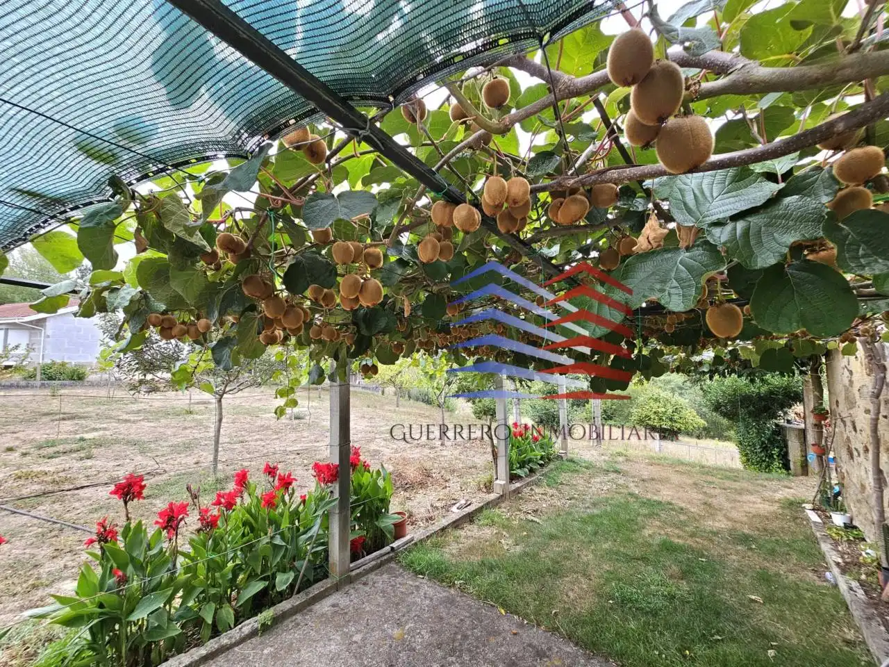 Jardí de Casa o xalet en venda en Celanova amb Jardí privat i Terrassa