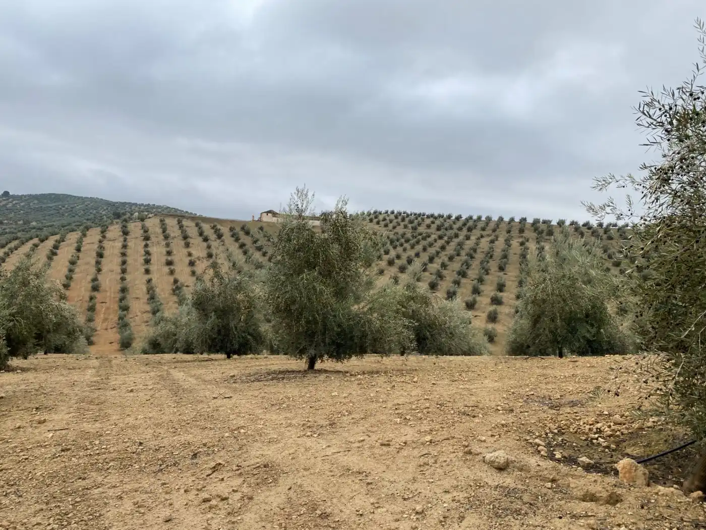 Casa rustica in vendita a Huétor Tájar, imagen 57