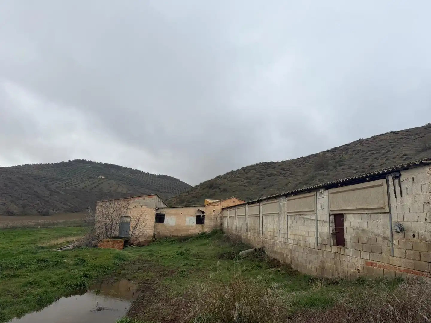 Terreny en venda en Huelma