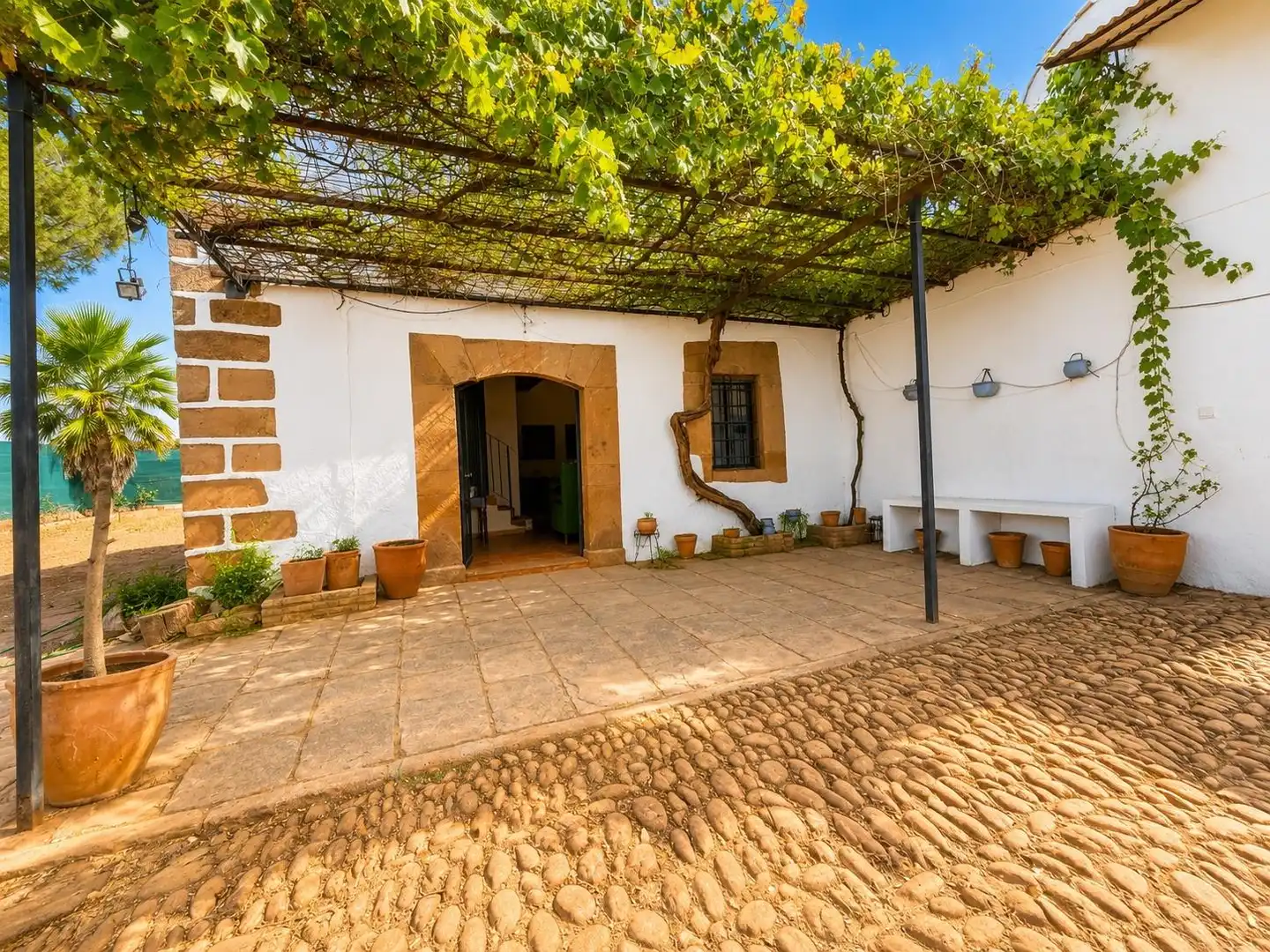 Vista exterior de Casa o xalet en venda en Montoro amb Jardí privat, Traster i Moblat