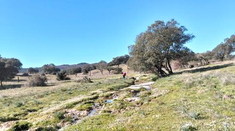 Foto 5 de Terreno en venta en Calle Virgen Puerto, Miralvalle - Av. Virgen del Puerto - La Data, Plasencia