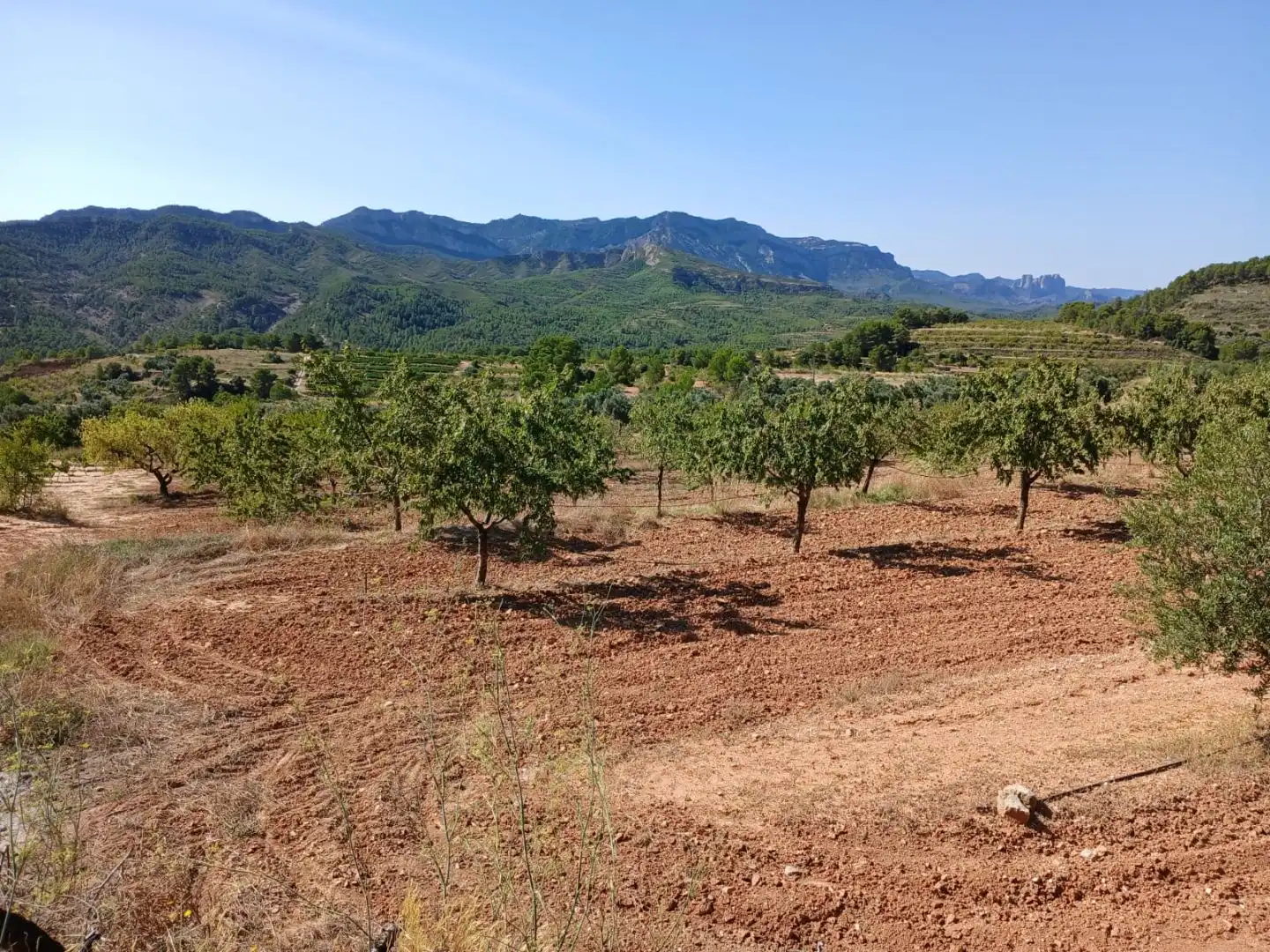 Rural land for sale in T334 13