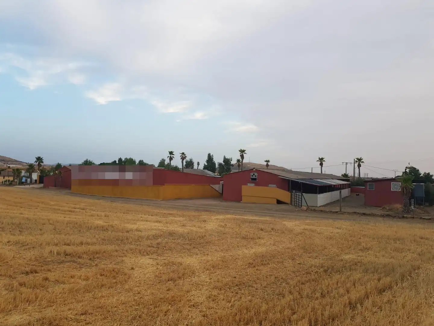 Vista exterior de Finca rústica en venta en Santa Cruz de Mudela