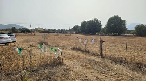 Photo 4 of Houses for sale in Búger, Illes Balears