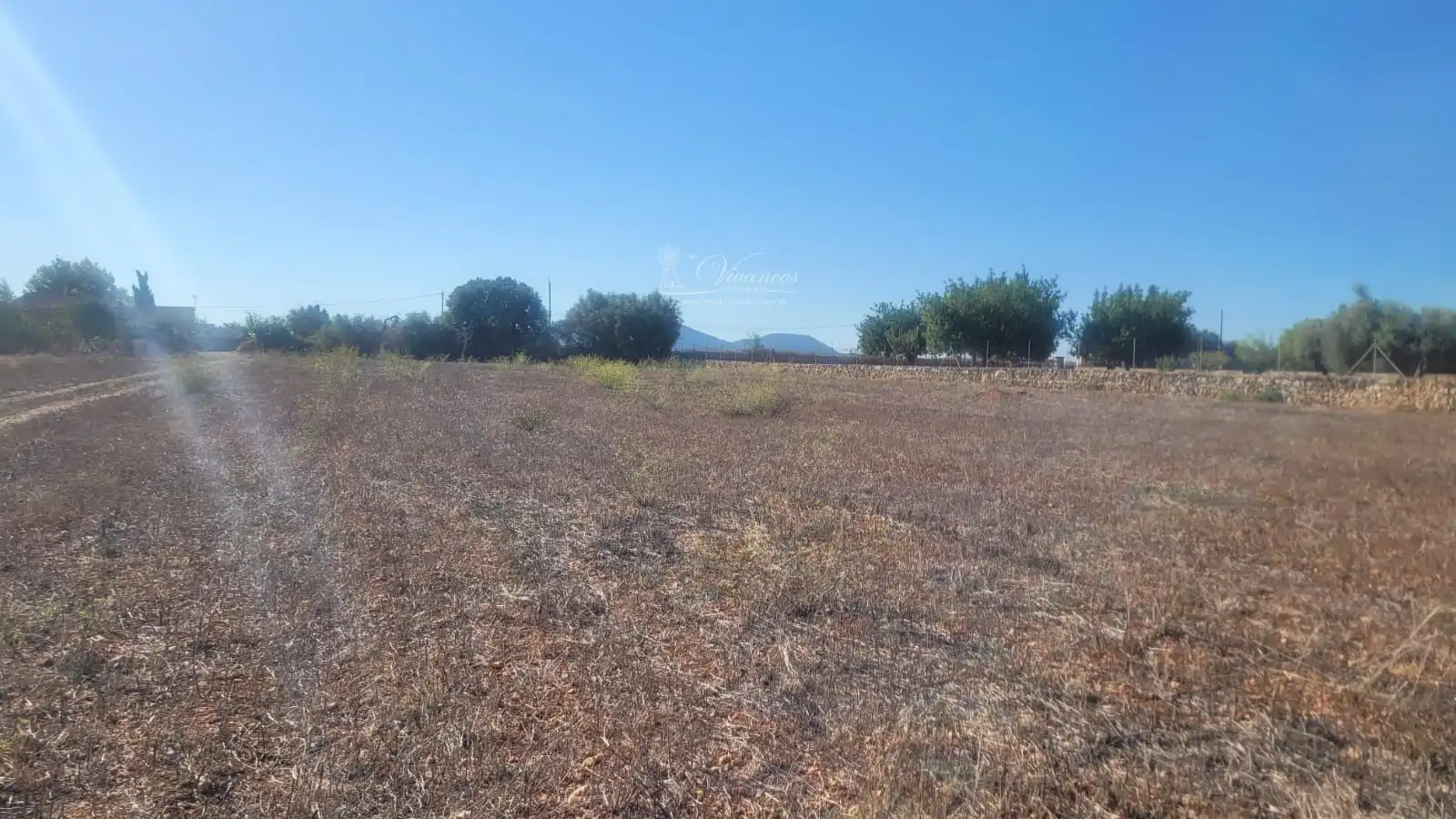 Terreno rustico in vendita a N/A, imagen 7