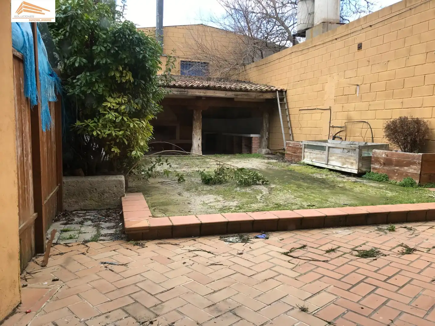 Garden of Detached homes for sale in Pesquera de Duero