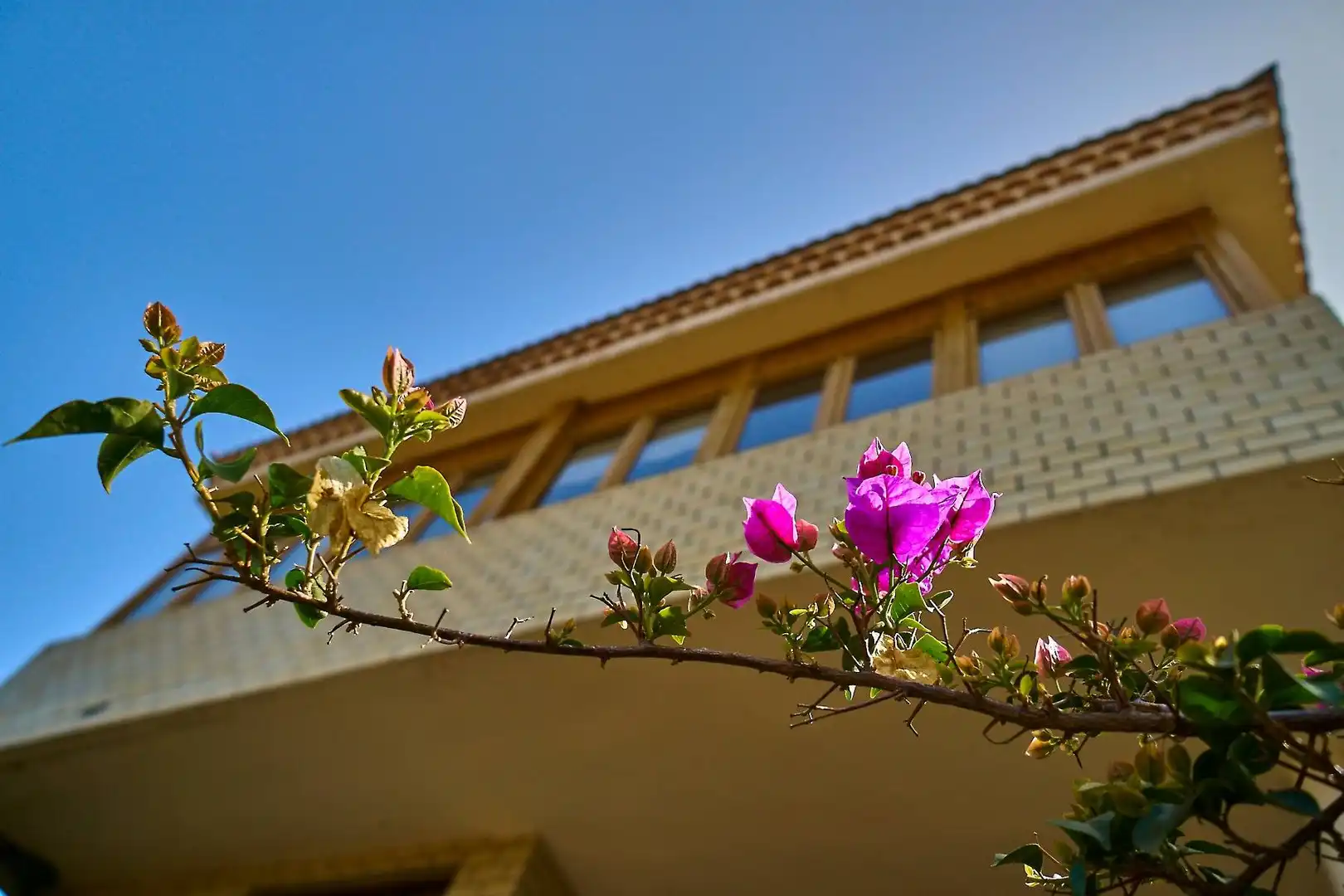 Vista exterior de Casa o xalet en venda en Santa Brígida amb Jardí privat, Terrassa i Balcó