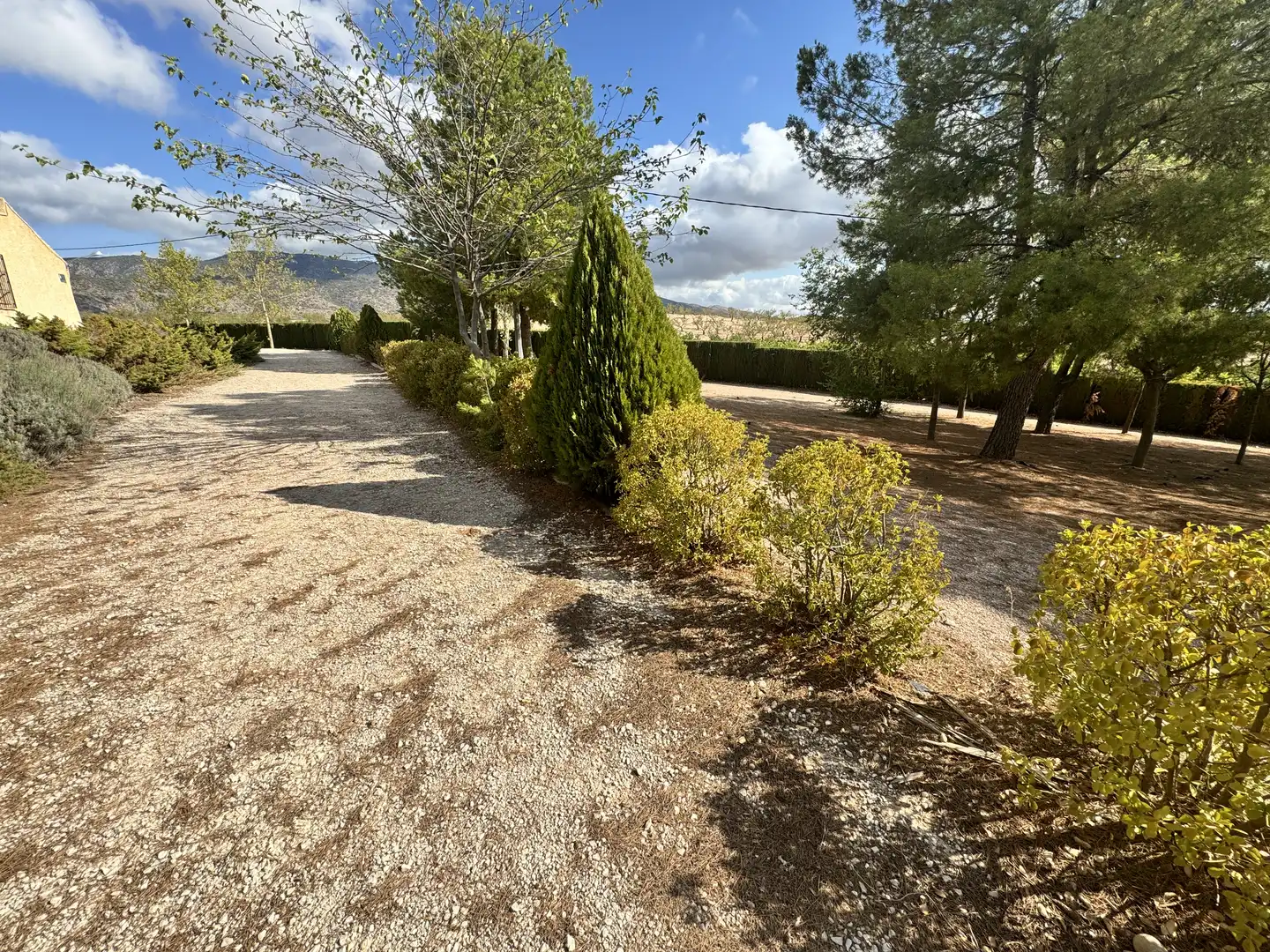 Casa o xalet en venda en Caravaca de la Cruz amb Aire condicionat, Jardí privat i Traster