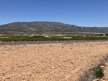Terreno residencial en venta en El Pinós / Pinoso