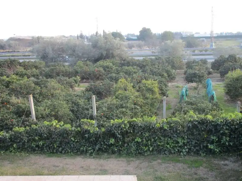 Casa o xalet en venda en L'Aldea amb Aire condicionat, Jardí privat i Terrassa