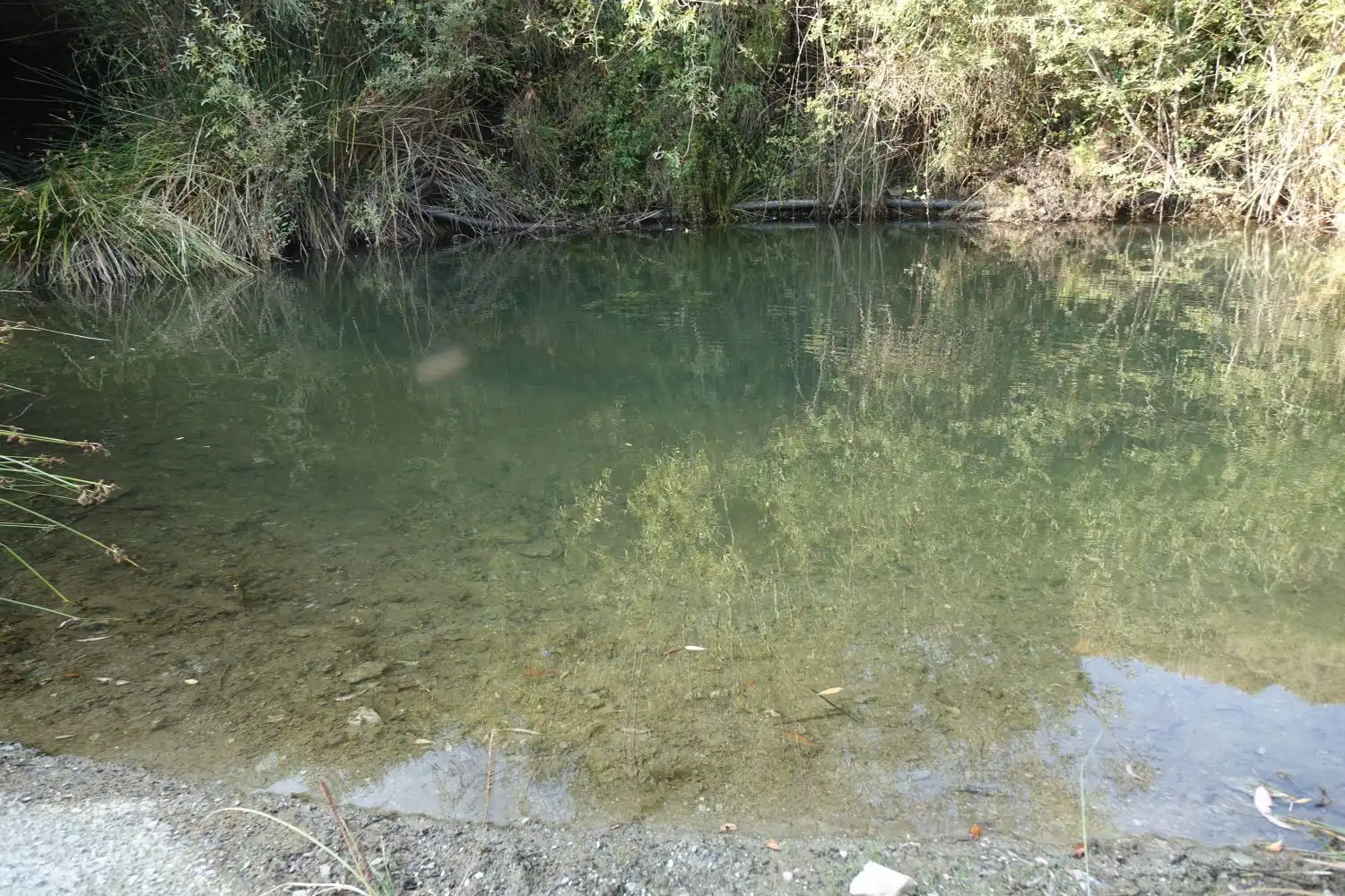 Piscina de Casa o xalet en venda en Pampaneira