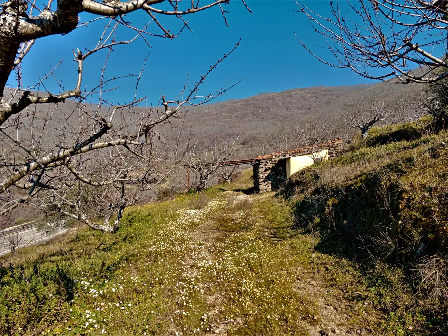 Terreni e lotti in vendita a Barrado, imagen 6