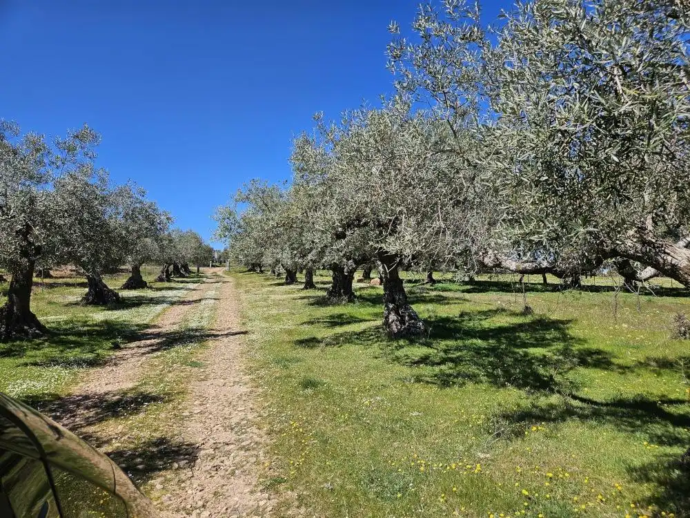 Casa o xalet en venda en Agudo, Ciudad Real