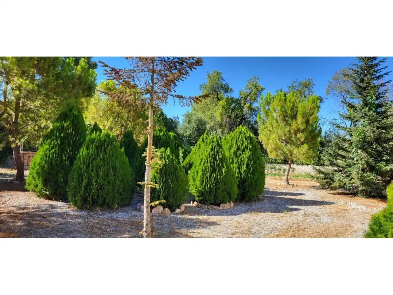 Jardí de Casa o xalet en venda en Baza amb Calefacció, Jardí privat i Terrassa