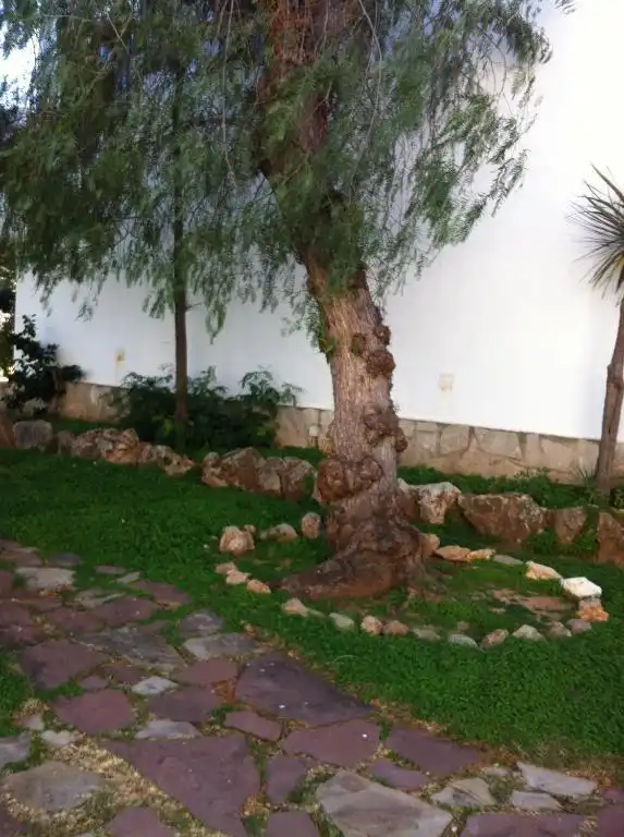 Jardí de Apartament de lloguer en Dénia amb Calefacció, Balcó i Piscina comunitària