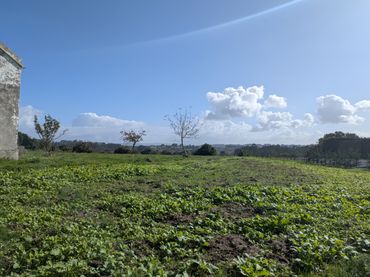 Terreno residenziale in vendita a Mera - Serantes